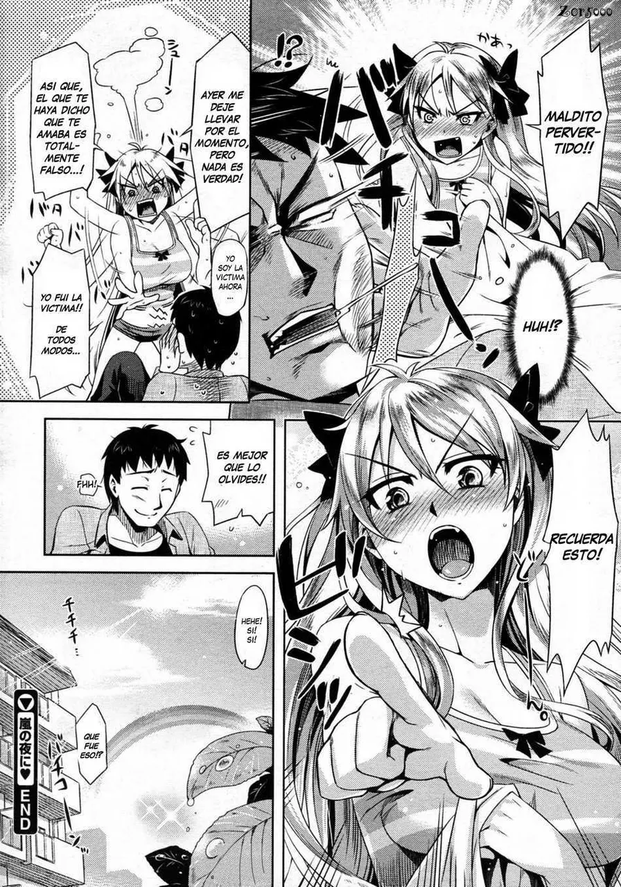 Arashi no Yoru Ni