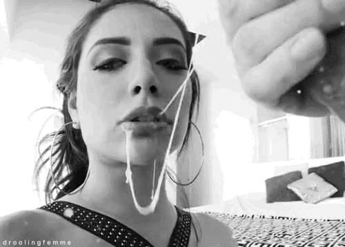 gatitas a tomar la leche!!!