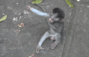 Random, Con alma de Jinete(1)(cowgirls)(gifs+bonus)