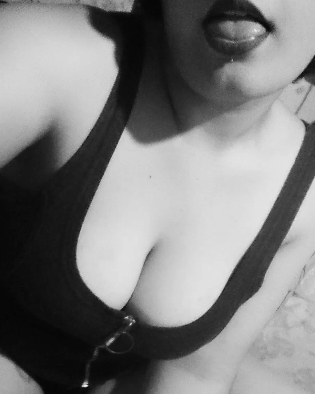 Holiis, les gusta?