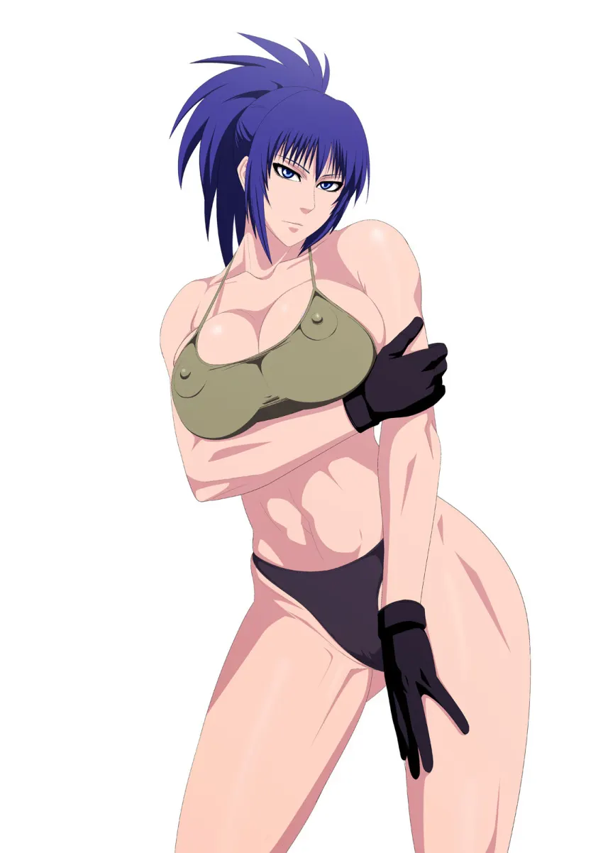 Material H The King of Fighters: Leona Heidern