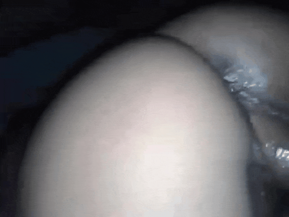 Esposa Gifs culindo travieso 2