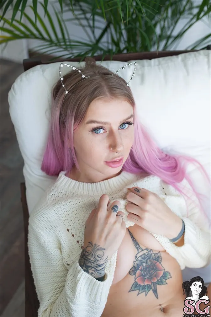 Olgakulaga Suicide, Purrfection