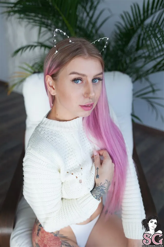 Olgakulaga Suicide, Purrfection