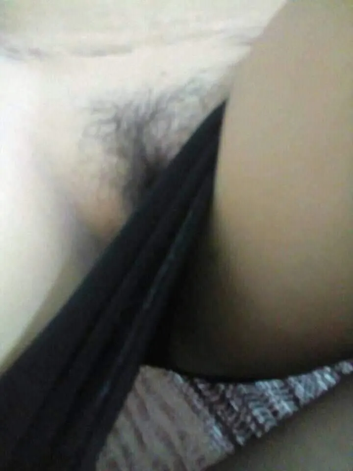 Angelica bacap