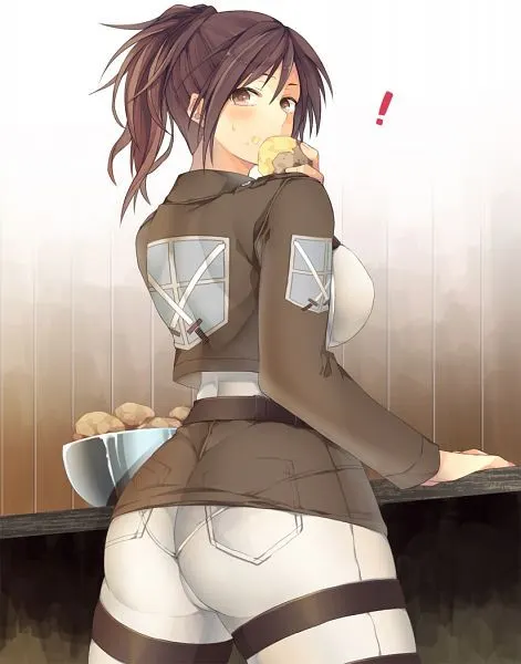 Material H Shingeki no Kyojin: Sasha Blouse