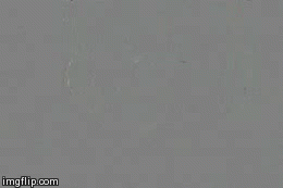 Gif que te va volar la cabeza 11