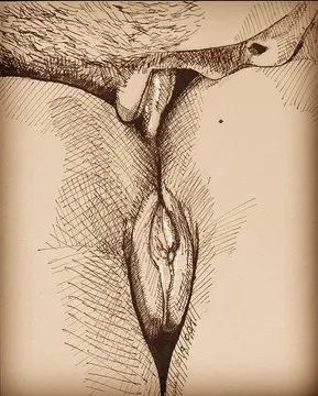 Erótica