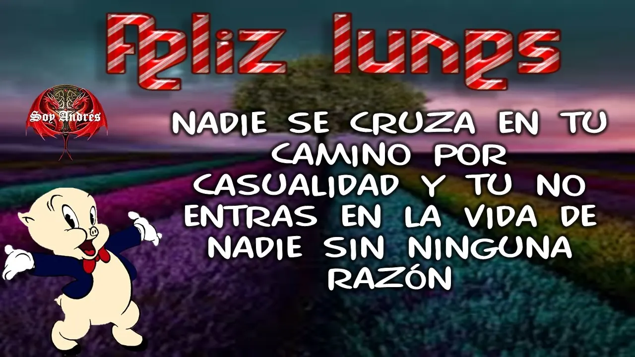 de todo un poquito