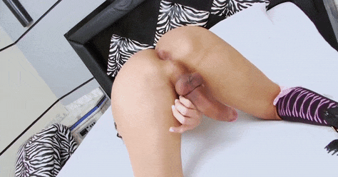 Shemale Tranny Gifs 02