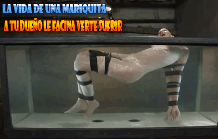 Diario de una Mariquita.
