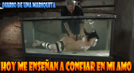Diario de una Mariquita.