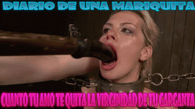 Diario de una Mariquita.