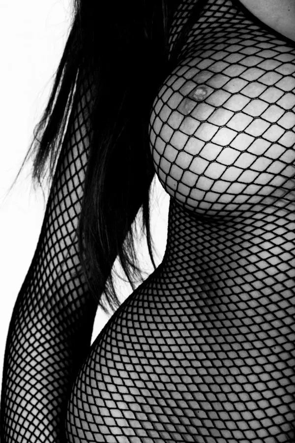 Requechado N°II