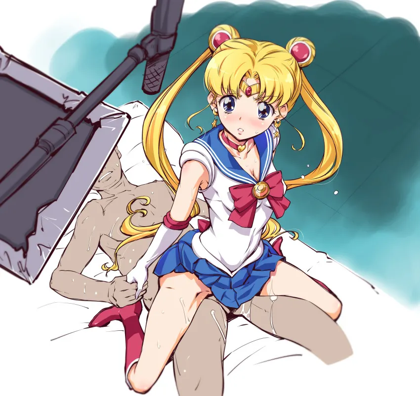 Sailor Moon Meme, hentai #167