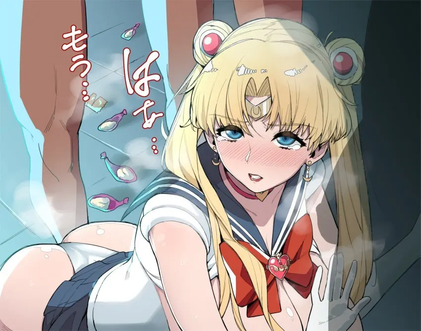 Sailor Moon Meme, hentai #167