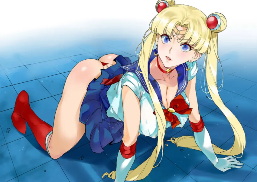 Sailor Moon Meme, hentai #167