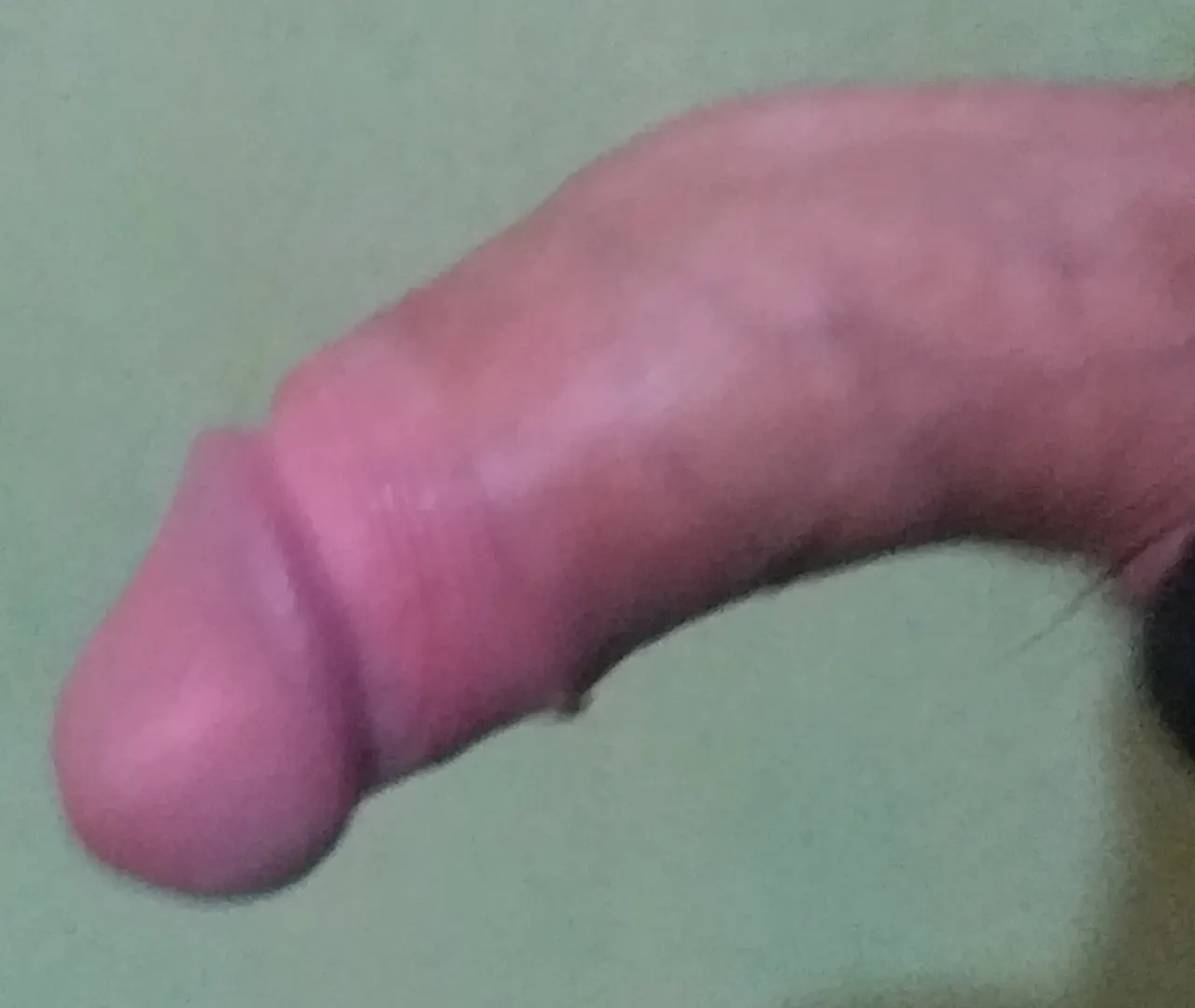 Les gusta mi humilde poranga