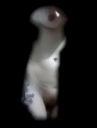 Duchita