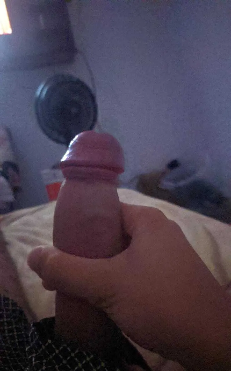 Algunas pijas :3