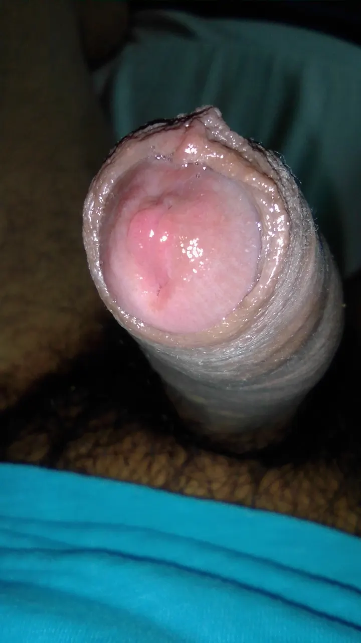 Mi pija cachonda y muy húmeda