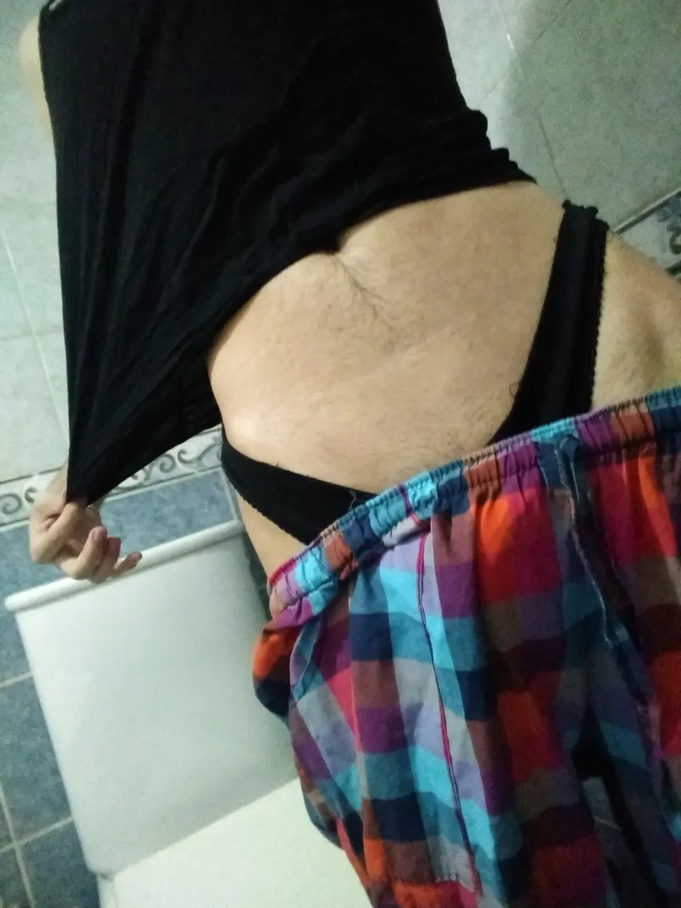 Trola lechera