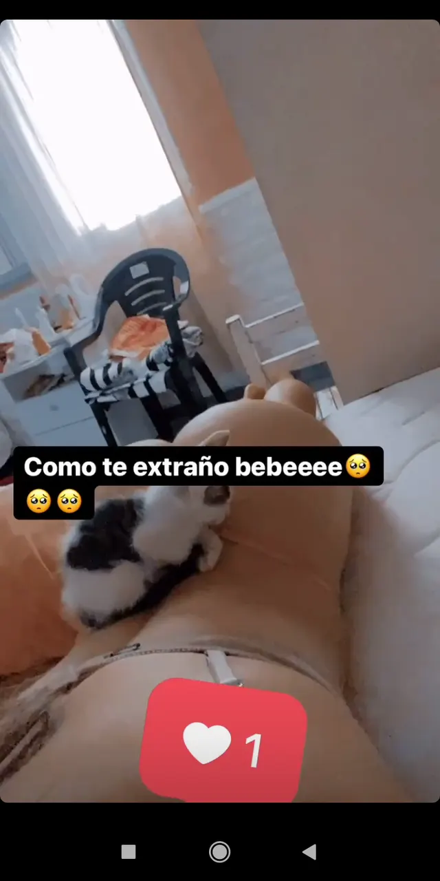 Calienta pija 3