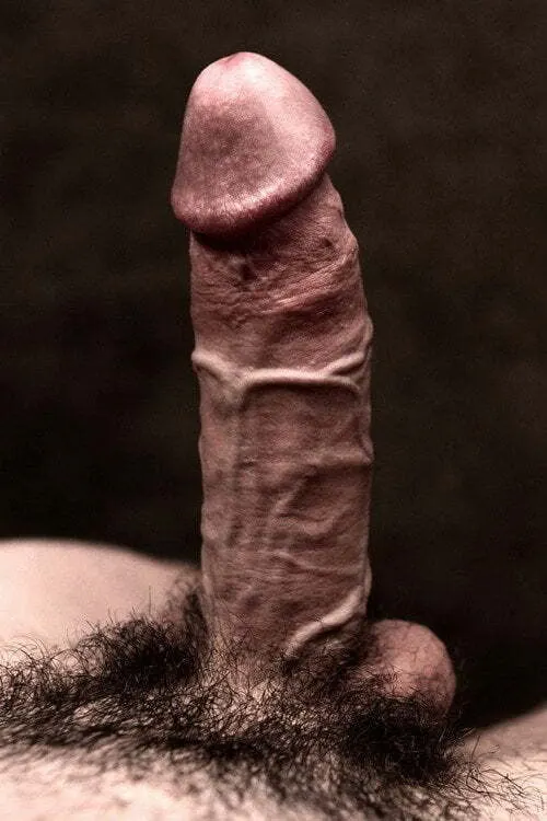 Penes hermosos