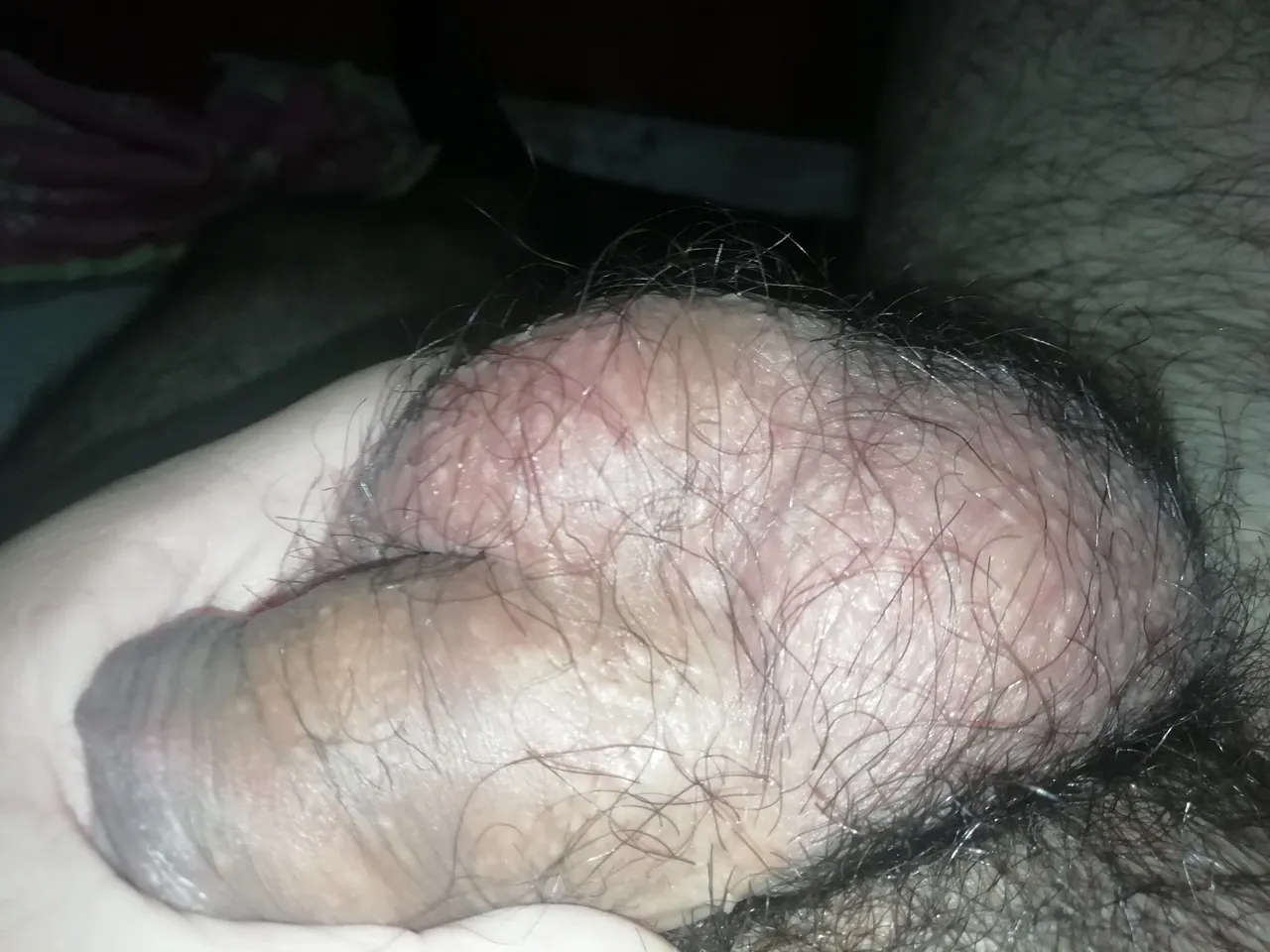Algún culito disponible