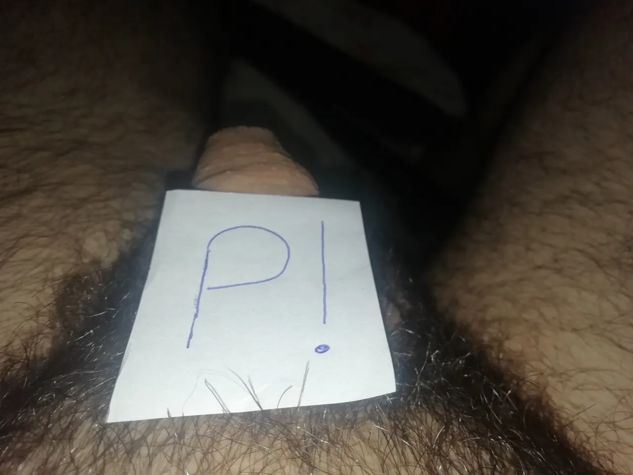 Algún culito disponible