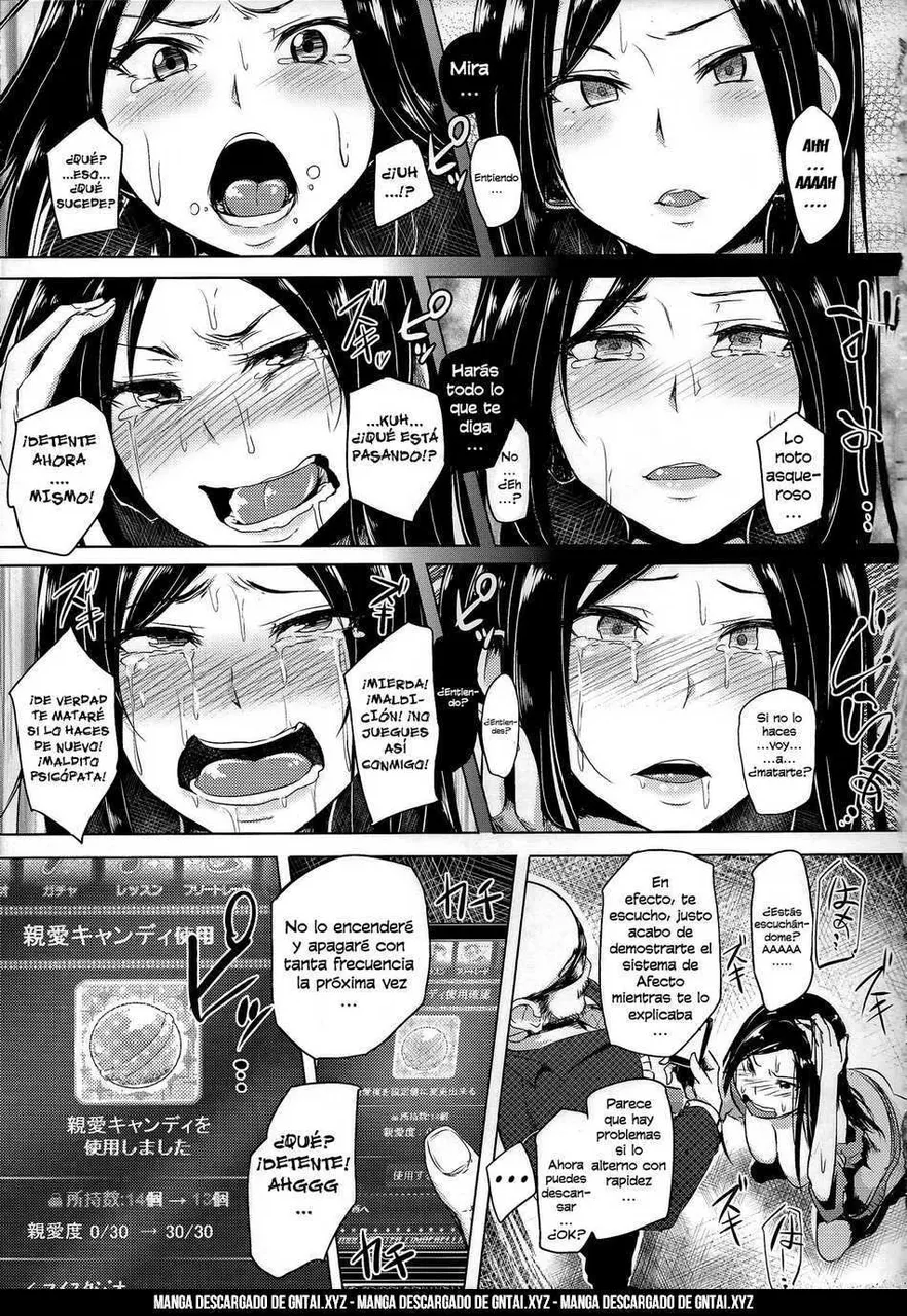 Max Affection System!