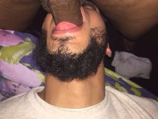 Donde están estos machos...