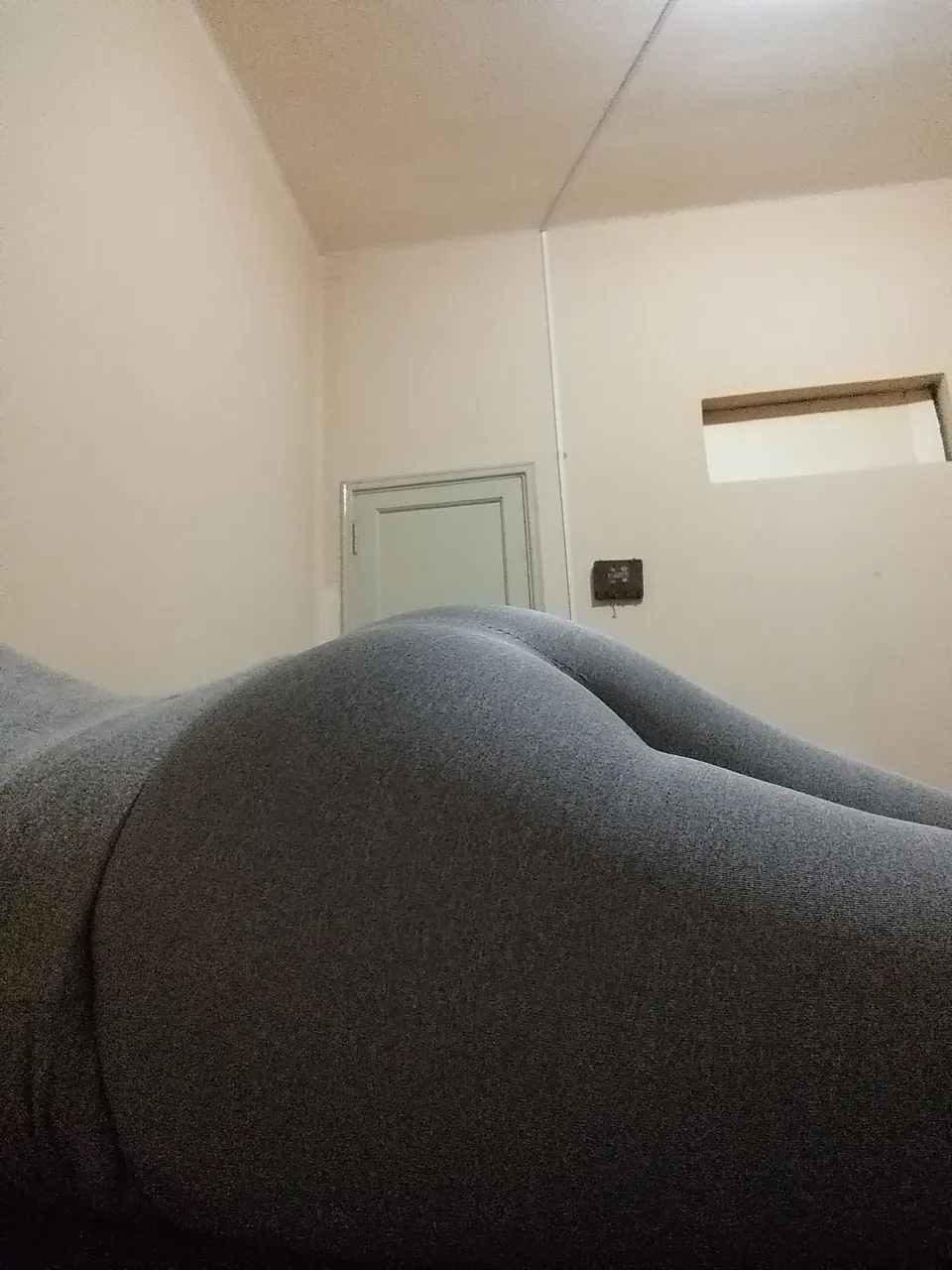 Mi cola