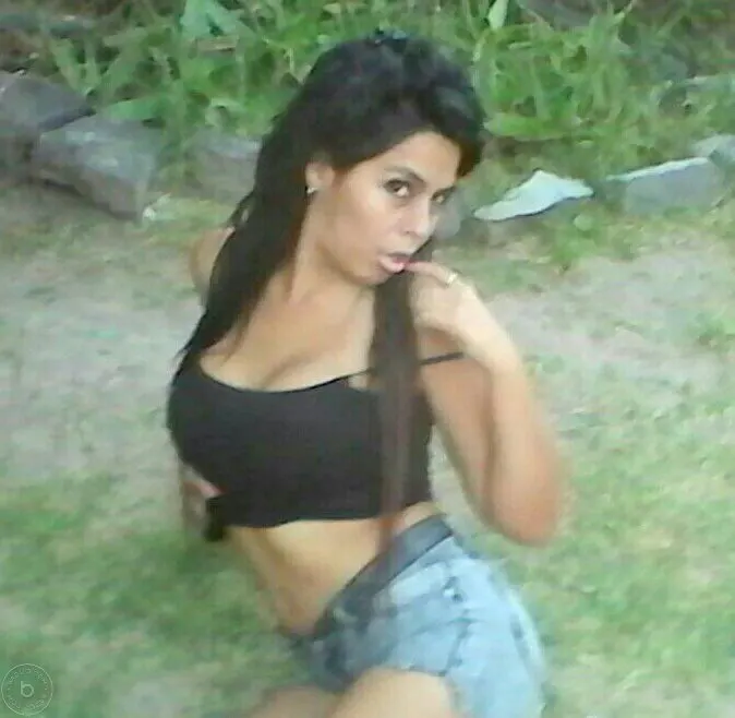 Hermoso gatito argento