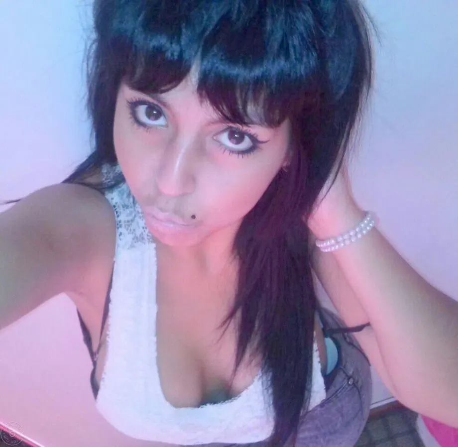 Hermoso gatito argento