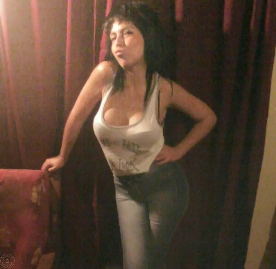 Hermoso gatito argento