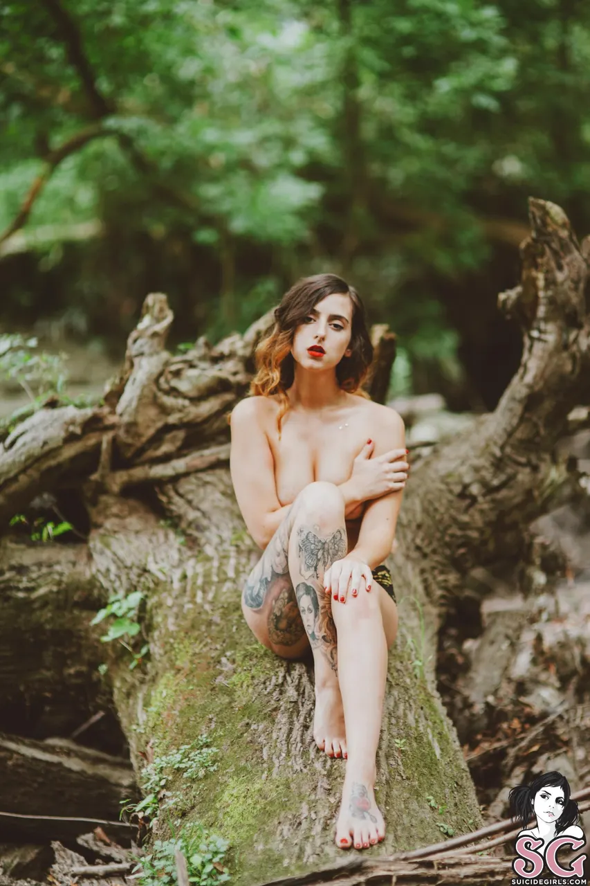 Reed Suicide - From Forests Unknown