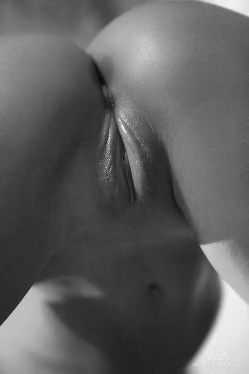 Blanco y Negro