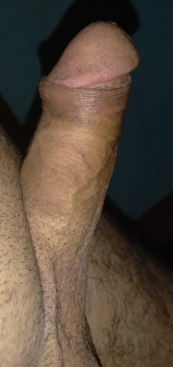 Nueva sesión de fotos al palo , los observo