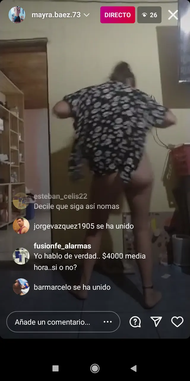 Zorras jugando