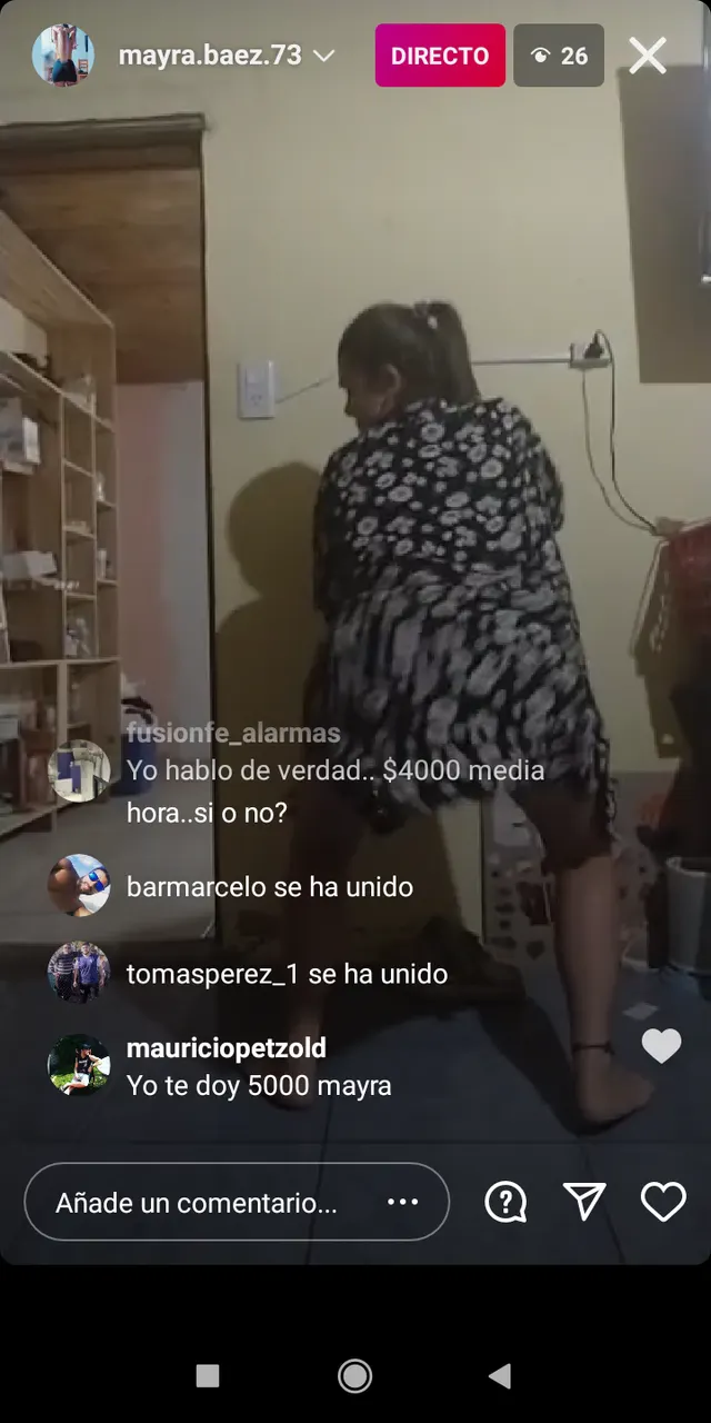 Zorras jugando