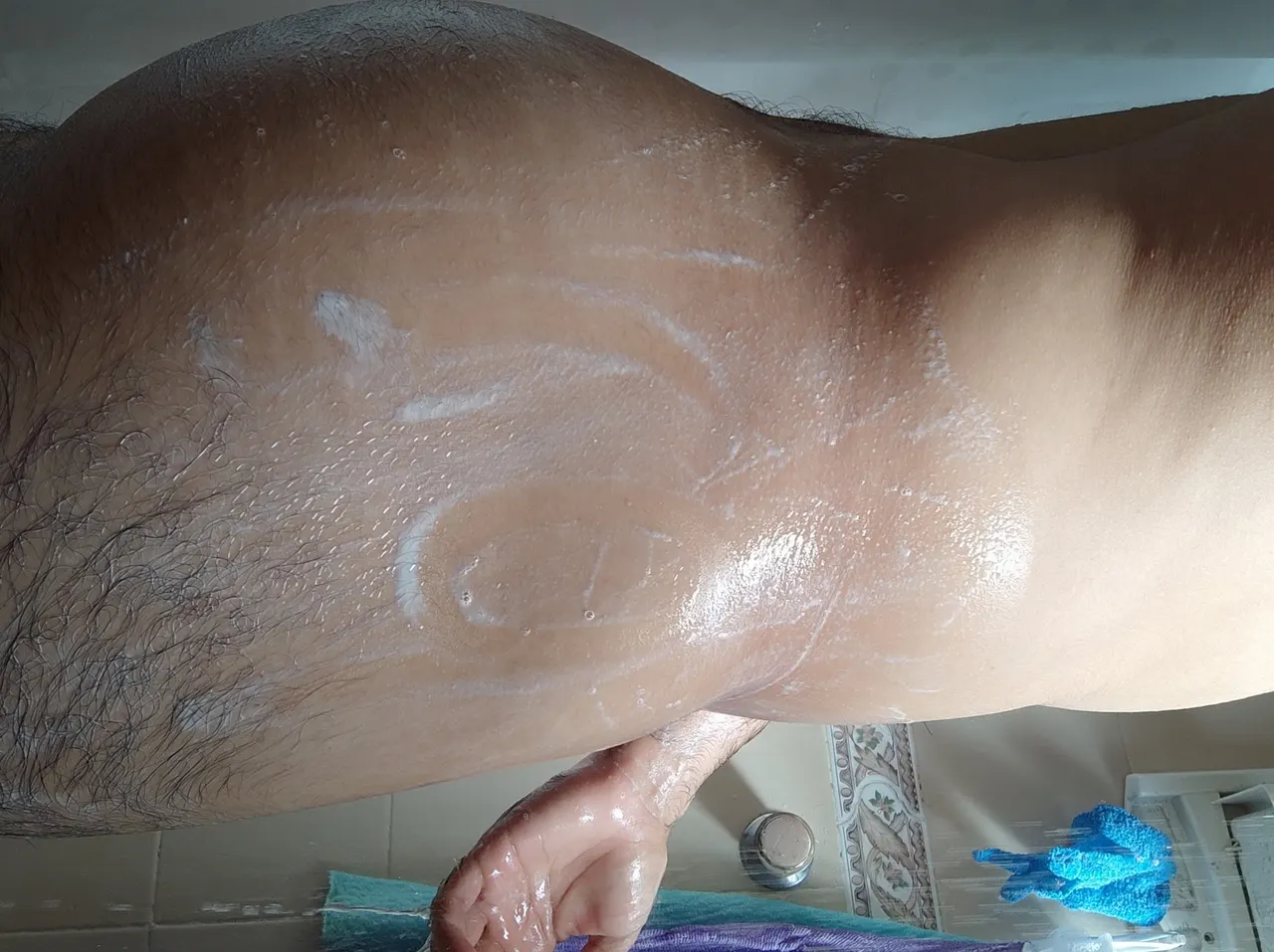 Pijudo de regreso en cuarentena