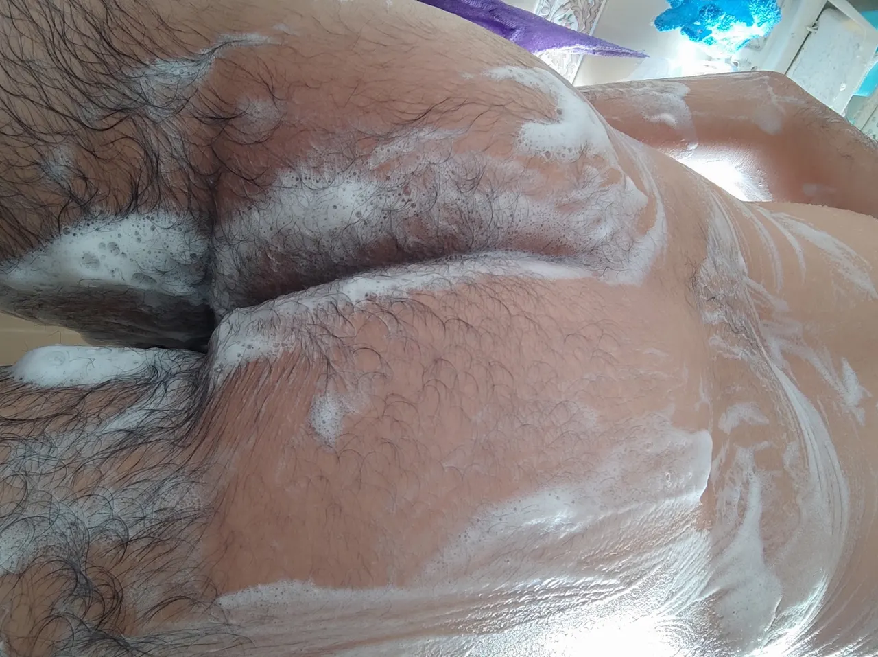 Pijudo de regreso en cuarentena