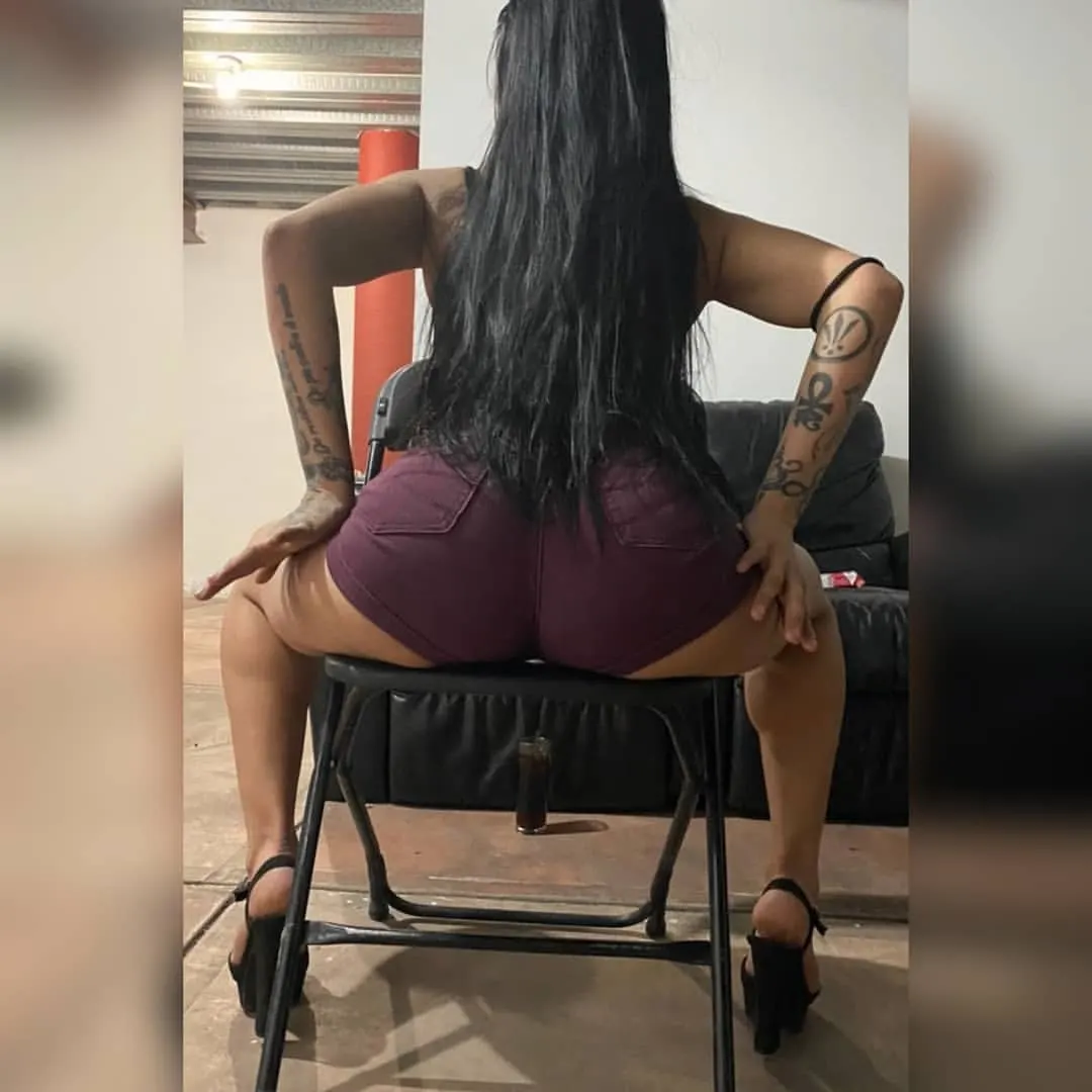 Mi perra