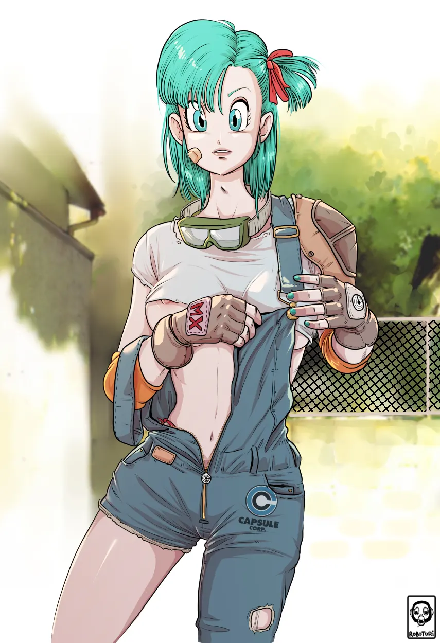Material H Dragon Ball: Bulma