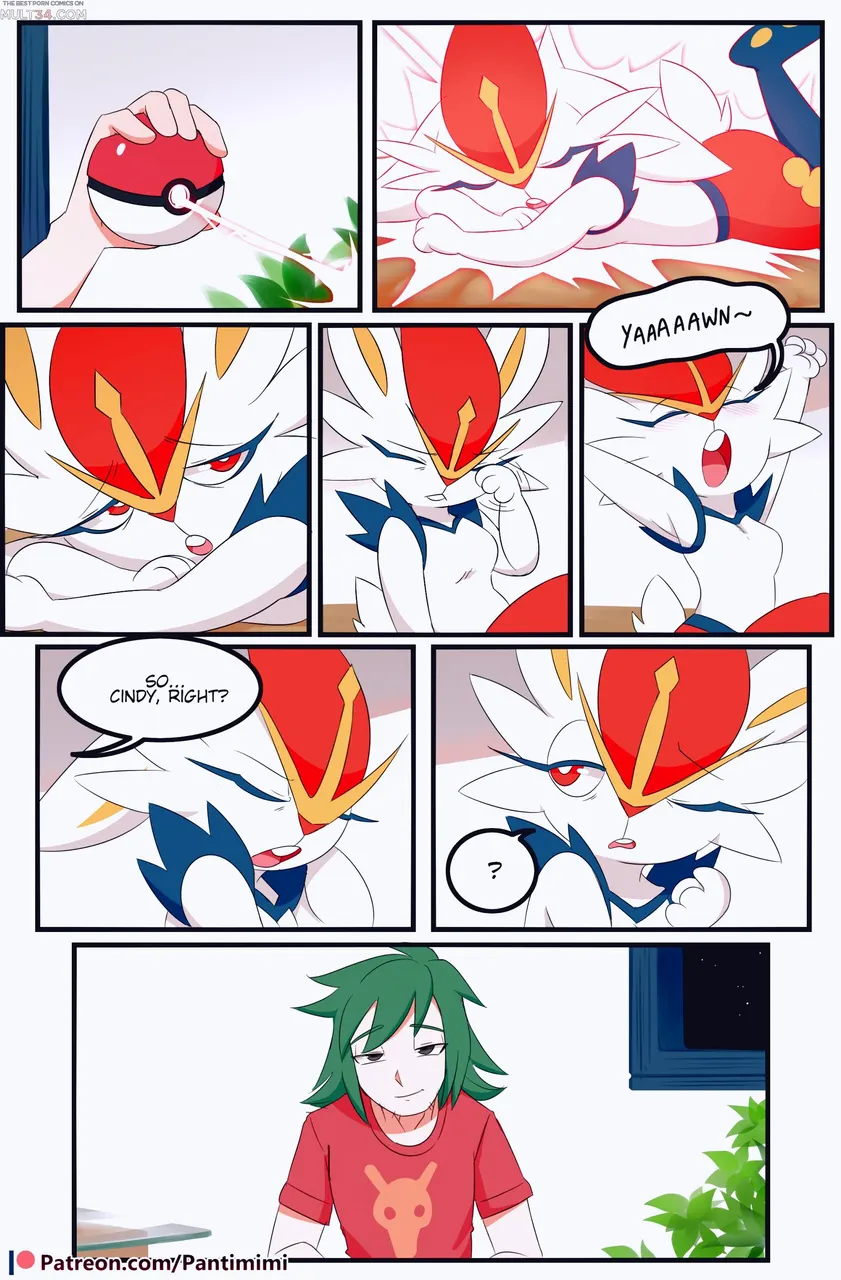 Pokemon trainer