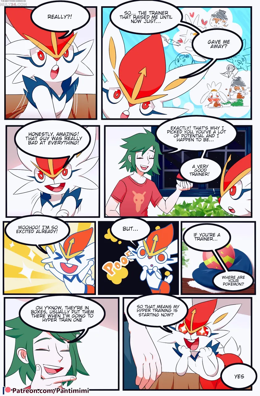 Pokemon trainer