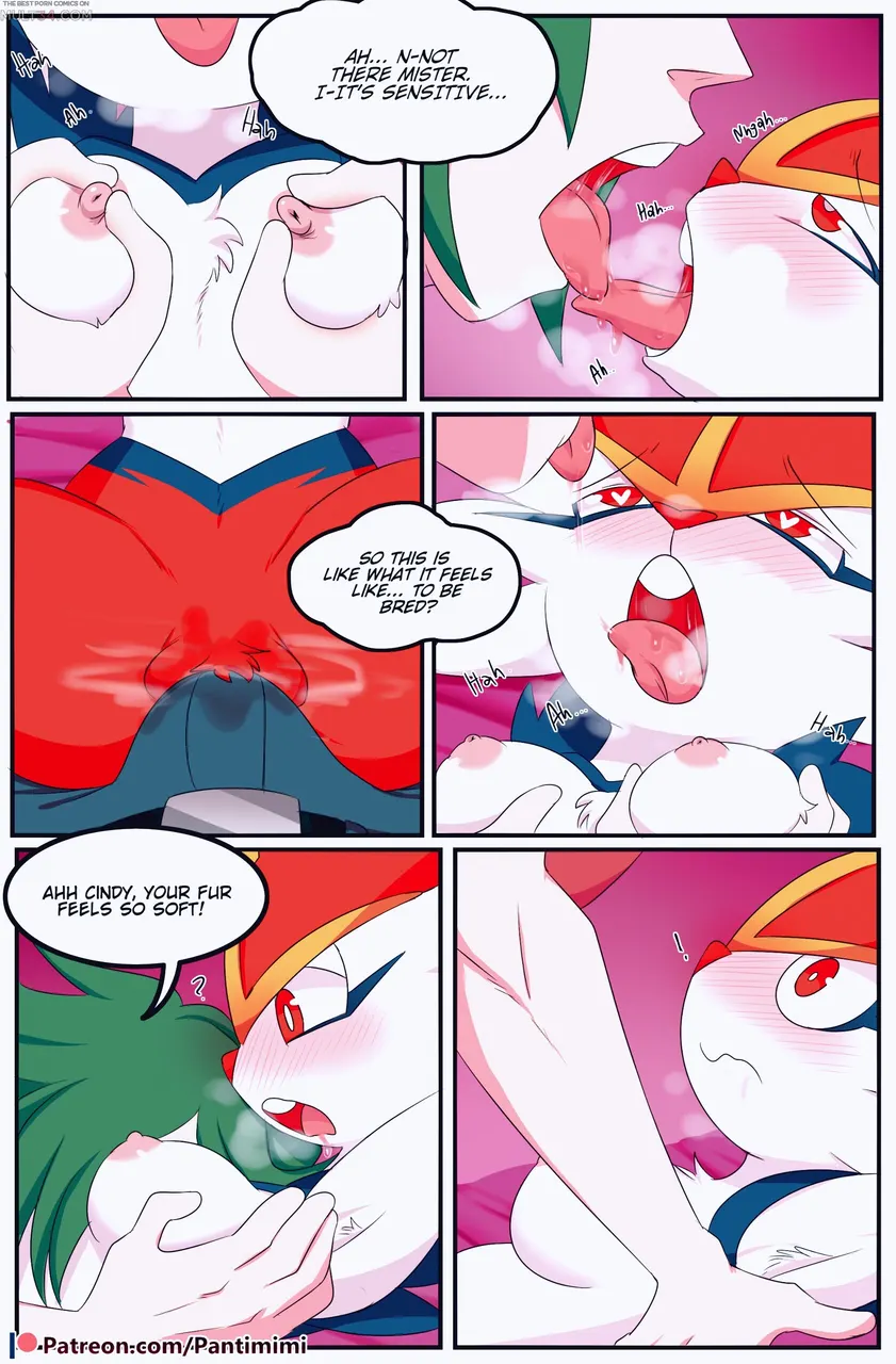 Pokemon trainer