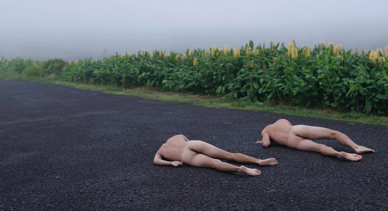 Pornocrónicas visuales 5