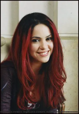La mujer perfecta: Shakira